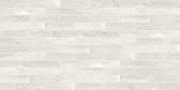 Borealis Polar Glow | Aphelion Collection