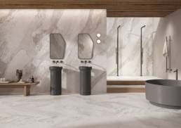 Velora 6 | Aphelion Collection